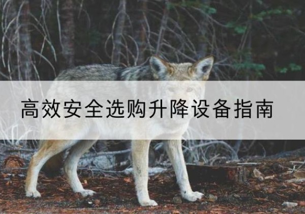 朝阳区升降货梯厂家推荐-*安全选购升降设备指南