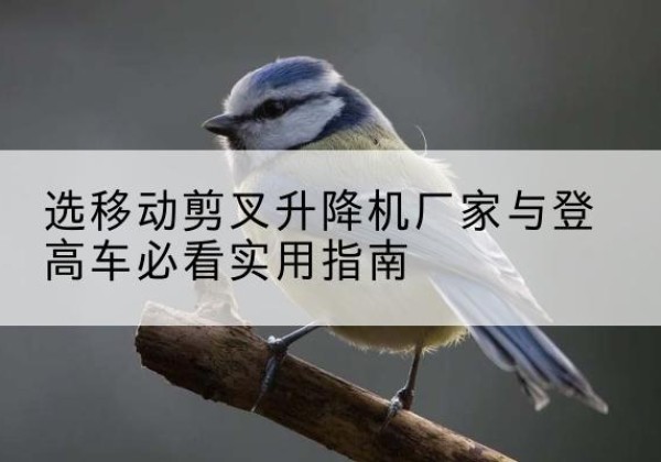 朝阳区电动升降机厂家-选移动剪叉升降机厂家与登高车必看实用指南